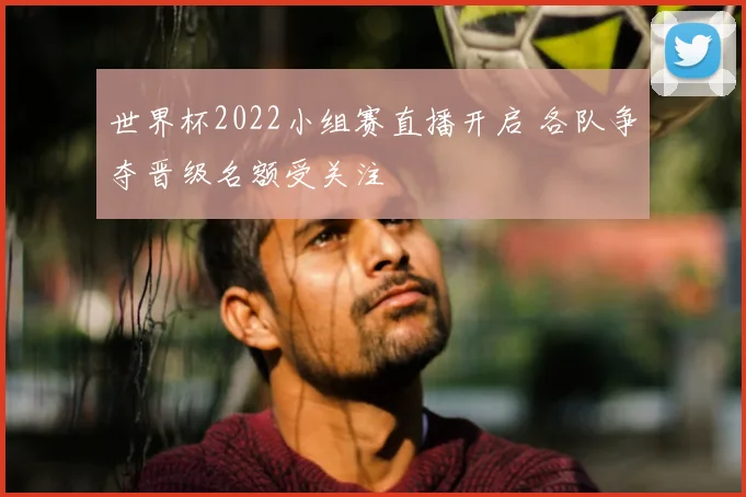 世界杯2022小组赛直播开启 各队争夺晋级名额受关注