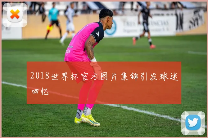 2018世界杯官方图片集锦引发球迷回忆