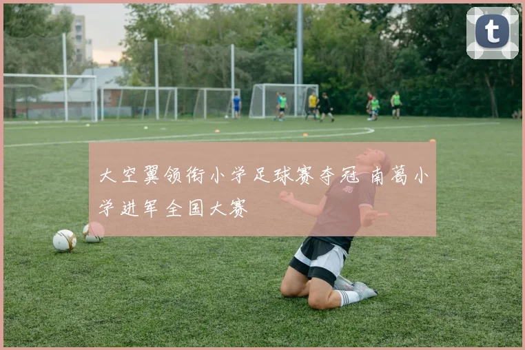 大空翼领衔小学足球赛夺冠 南葛小学进军全国大赛