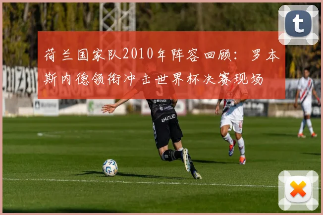 荷兰国家队2010年阵容回顾:罗本斯内德领衔冲击世界杯决赛现场